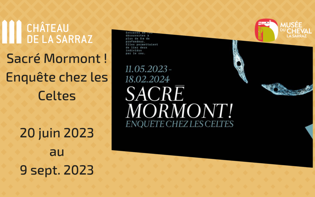 Conférence – 2006-2023 : prise en charge et restauration des objets issus des fouilles du Mormont